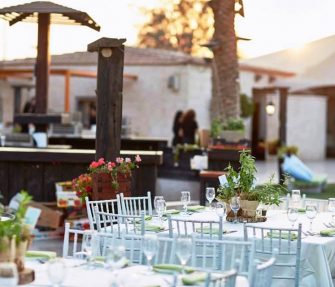 הכסאות של הרמוניה הכסאות של הרמוניה