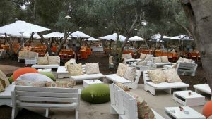 השכרת ציוד לאירועים בדרום - הרמוניה השכרת ציוד לאירועים השכרת ציוד לאירועים בדרום - הרמוניה השכרת ציוד לאירועים