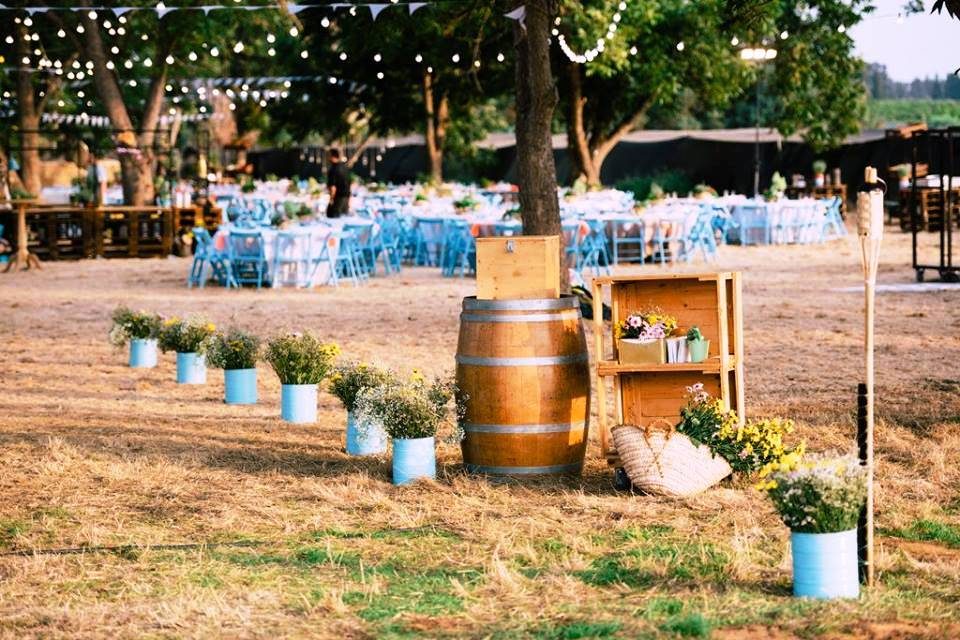 חתונה שונה חבית יין